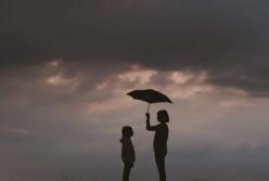 Прогноз погоды на 5 июня: в большинстве регионов потеплеет