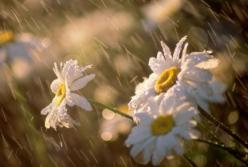 Прогноз погоды на 16 июля: на восток Украины идут грозы и похолодание