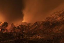 В Карелии горят леса. Введен режим чрезвычайной ситуации