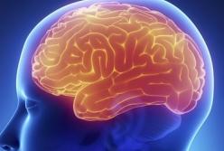 Ученые рассказали, как сохранить здоровье мозга после 30 