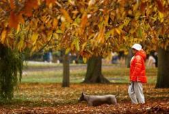 Прогноз погоды на 4 ноября: Украину охватит порывистый ветер