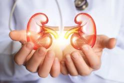 Медики назвали продукты, запрещенные при заболеваниях почек