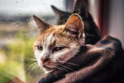 Жовтень в Україні розпочнеться з дуже холодної погоди