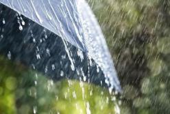 Два месяца дождей: синоптик рассказал, какой будет погода летом