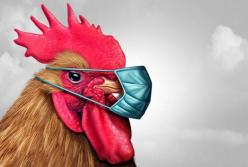 У США виявили небезпечні мутації пташиного грипу