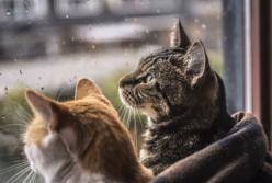 Прогноз погоды на 4 сентября: резко похолодает