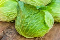 Специалисты назвали лучший осенний овощ: полезный и дешевый