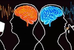 Ученые выяснили, почему люди курят и пьют: причину нашли в мозге