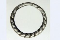 В Нидерландах найдено редкое кольцо викингов