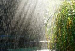 Прогноз погоды на 15 мая: Украину накроют дожди