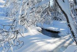 Ударит -23: синоптики испугали холодным прогнозом для Украины