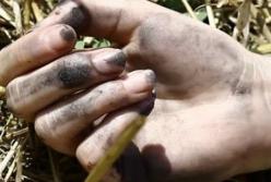 В Одесской области на автодороге нашли тело женщины (фото)