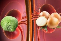 Медики назвали продукты, которые улучшают состояние почек