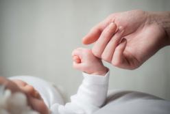 Новогоднее чудо: близнецы родились в разные годы (фото)