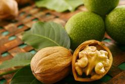 Ученые назвали орехи, которые повышают настроение и стрессоустойчивость