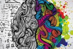 Ученые нашли в организме человека «второй мозг»