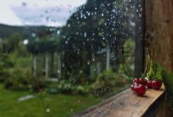 Прогноз погоды на 15 июня: Украину снова накроют грозы