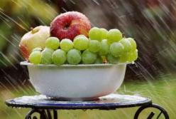 Медики назвали продукты, которые помогают очистить организм