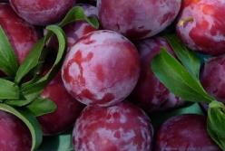 Назван самый дешевый фрукт в Украине