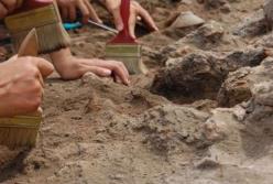 Во Франции археологи обнаружили древнее массовое захоронение 