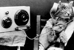 В Украине сегодня отмечают День работников радио, телевидения и связи