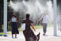 Президент подписал указ об усилении обороноспособности Украины