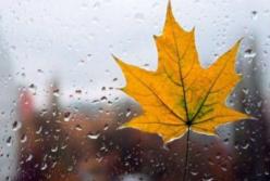 Прогноз погоды на 6 ноября: возвращаются дожди и грозы (карта)