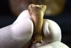 Археологи обнаружили древний амулет, изготовленный неандертальцами