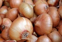 Диетолог рассказала о пользе лука 