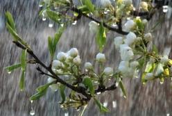 Прогноз погоды на 28 мая: в Украине сильные дожди и грозы