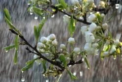 Прогноз погоды на 28 мая: в Украине сильные дожди и грозы