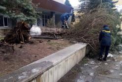 Ветер срывал крыши: в Прикарпатье пронесся ураган