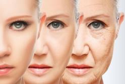 Ученые назвали ключевой фактор замедления старения 