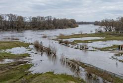 Повінь на Чернігівщині: Гідрометцентр попереджає про затоплення доріг та заплав