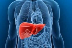 Врачи рассказали, как восстановить печень без медикаментов