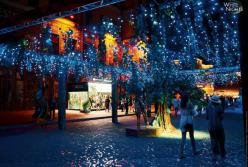 В Киеве прошли масштабные «Белые ночи»: какие украинские звезды посетили фест