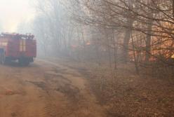 Пожар в Чернобыльской зоне удалось потушить