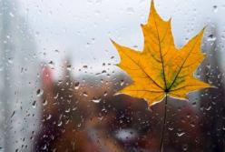 Дождь и похолодание: синоптики рассказали, в каких областях будет непогода