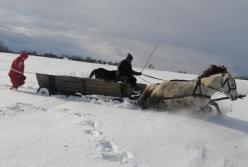 На Житомирщине девушку везли к скорой на лошадях (фото)