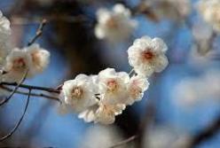 Синоптики спрогнозировали погоду в апреле