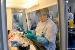 Украина начала производство ПЦР-тестов для диагностировки коронавируса