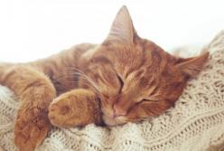 Прогноз погоды на 19 марта: в Украине местами снег и дождь