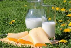 Медики рассказали, чем опасно употребление молока и кефира