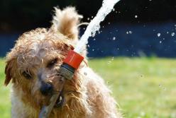 Прогноз погоды на 22 июня: жара не отступает