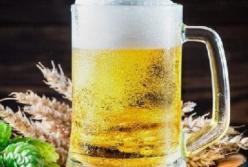 Живот не вырастет: врачи развеяли популярный миф о пиве