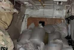 CБУ блокировала масштабную контрабанду янтаря (фото)