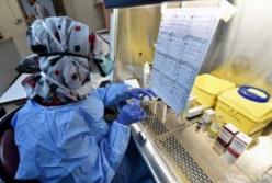 Ученые нашли предотвращающий рак и старение белок