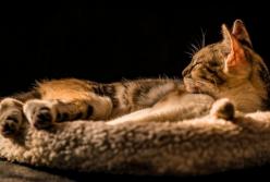 Прогноз погоды на 13 марта: снега и сильного ветра уже не будет