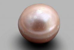 В Персидском заливе нашли уникальную жемчужину (фото)