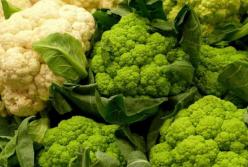 Медики назвали продукты, которые предотвратят выпадение волос